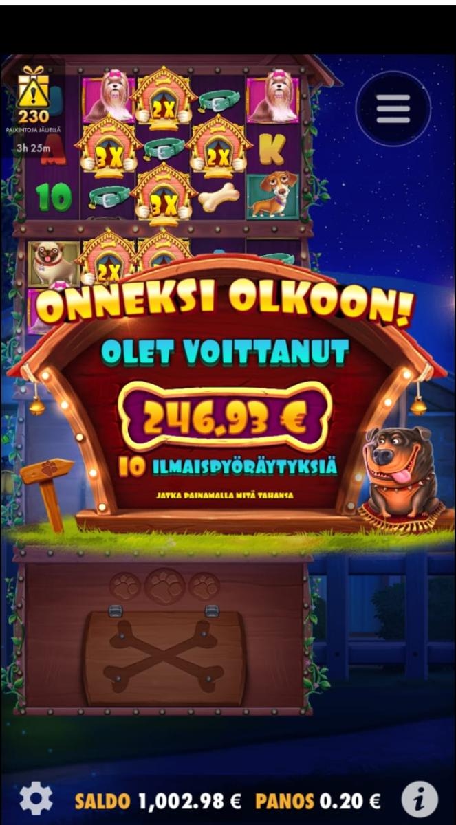 dog house multihold – Sisu (246 eur / 0.2 bet) | Jaakko888